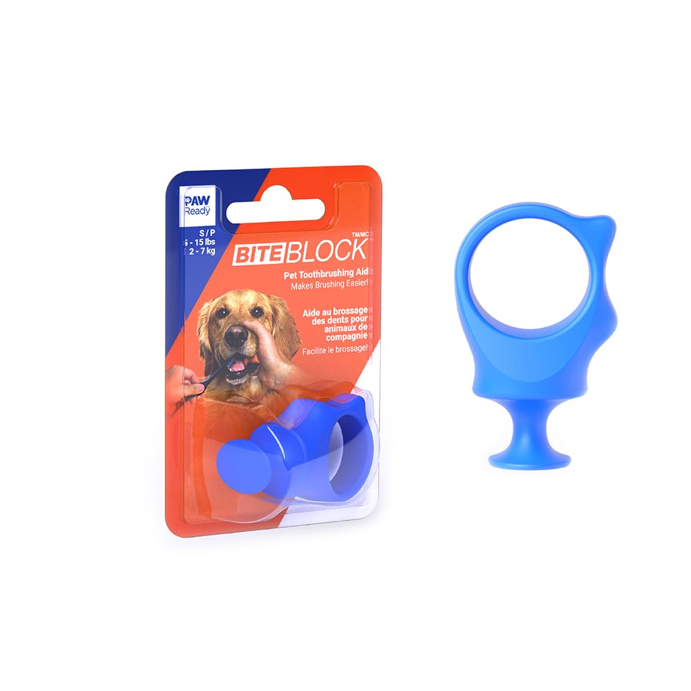 Paw Ready: asistente de cepillado para perros y gatos azul pequeño, facilita el cepillado seguro
