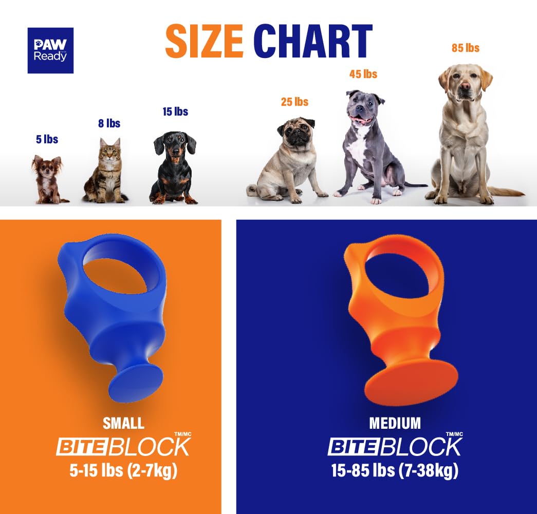 Paw Ready: cuidado dental efectivo para mascotas y aliento más fresco