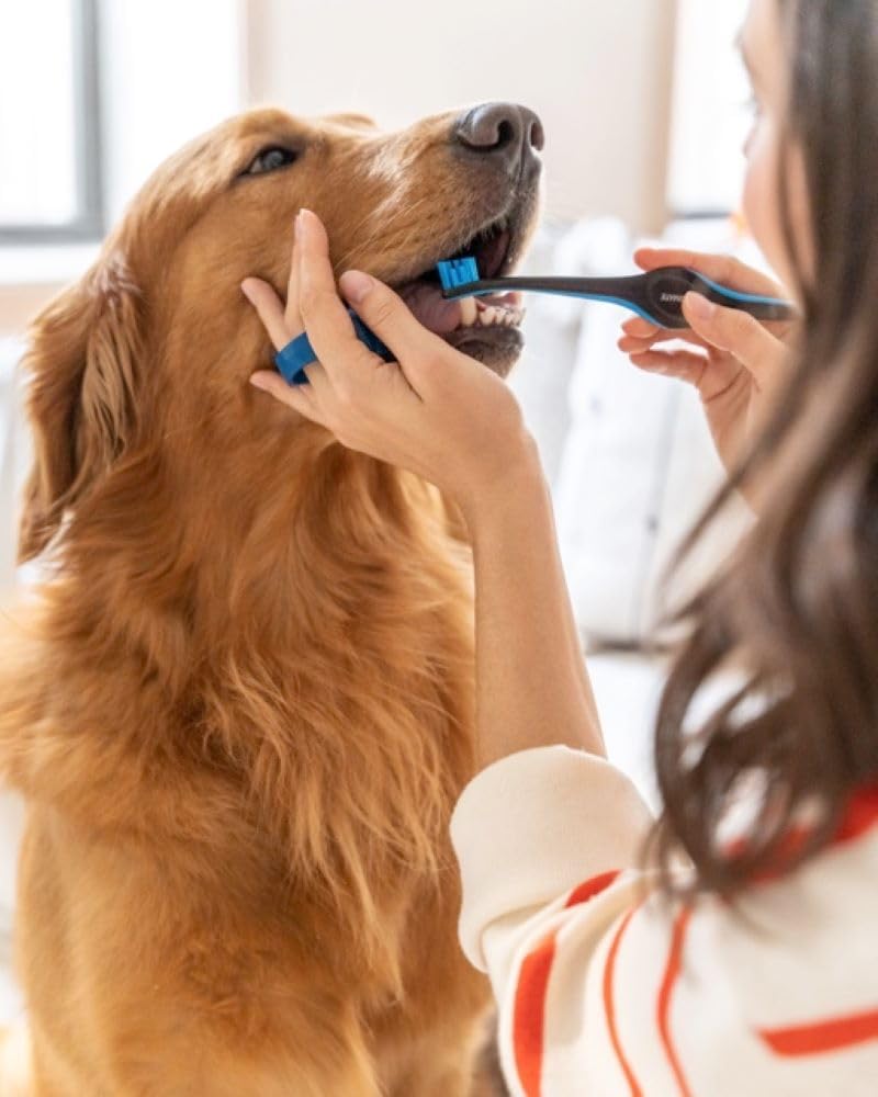 Paw Ready favorece una higiene dental efectiva en casa