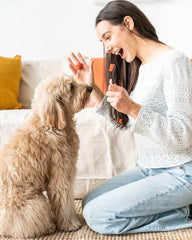 Paw Ready dedo seguro proteccion para cepillado sin mordidas