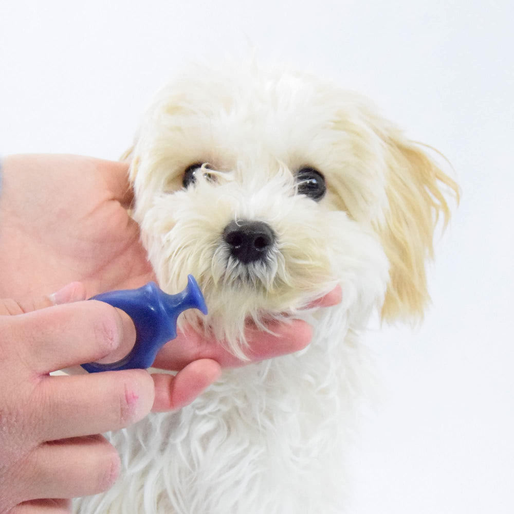 Paw Ready: protección de dedos con goma natural para mayor seguridad