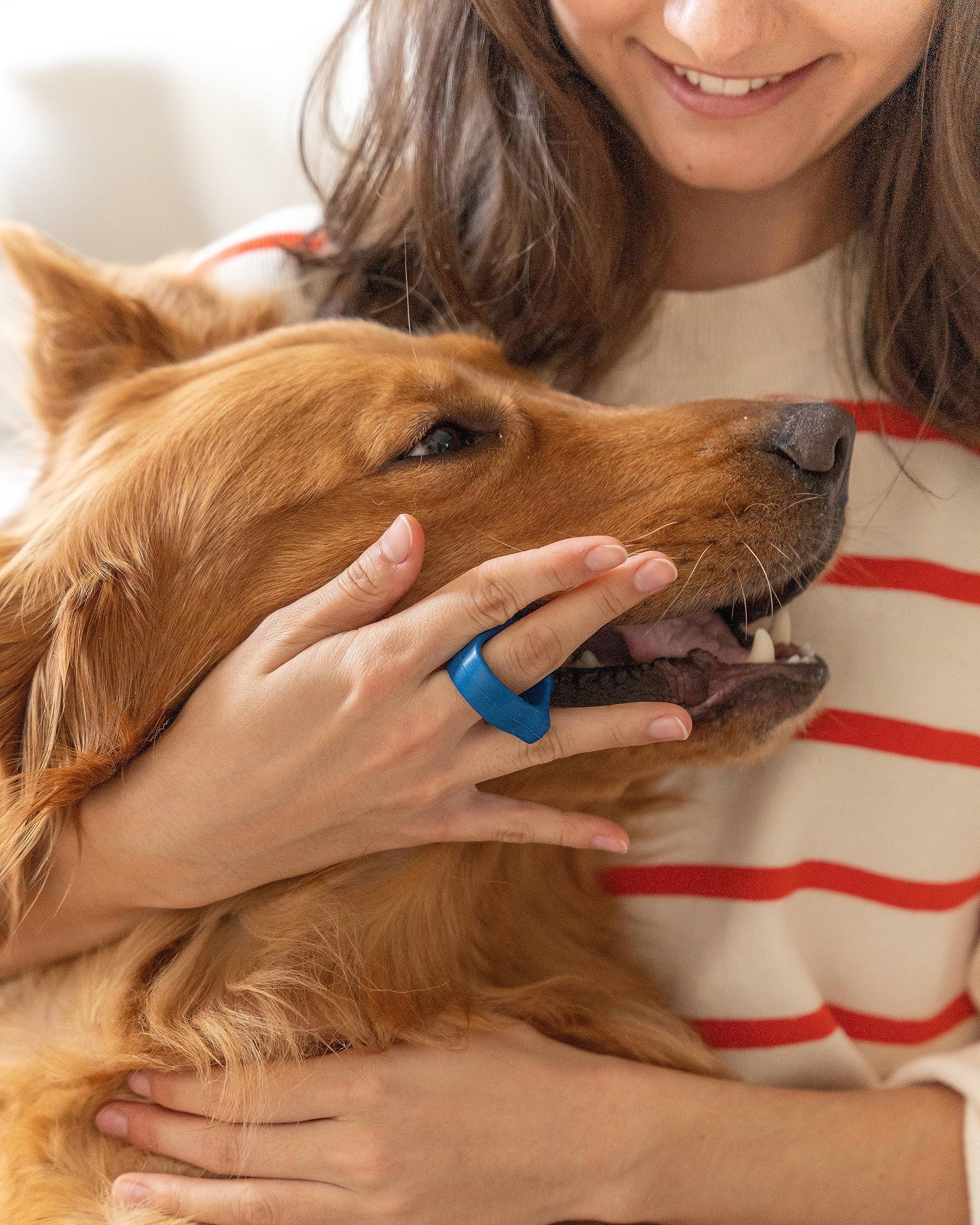 Sesiones de cepillado sin preocupaciones con Paw Ready para mascotas