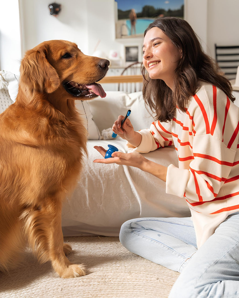 Uso para perros y gatos con Paw Ready, opción versátil