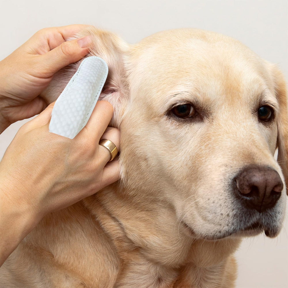 Paw Science: cuidado suave para piel sensible en oídos.
