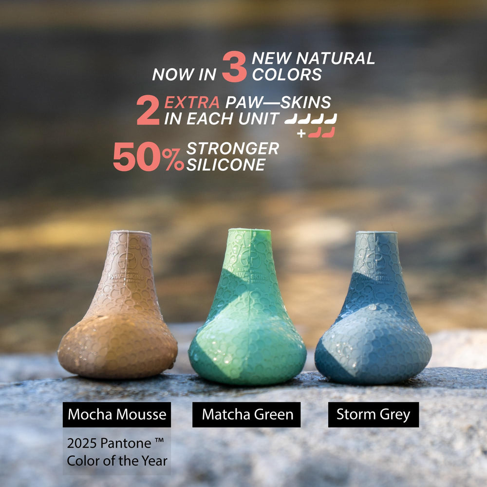 Paw—Skins botas perro, protección todo clima frente a pavimentos variados.