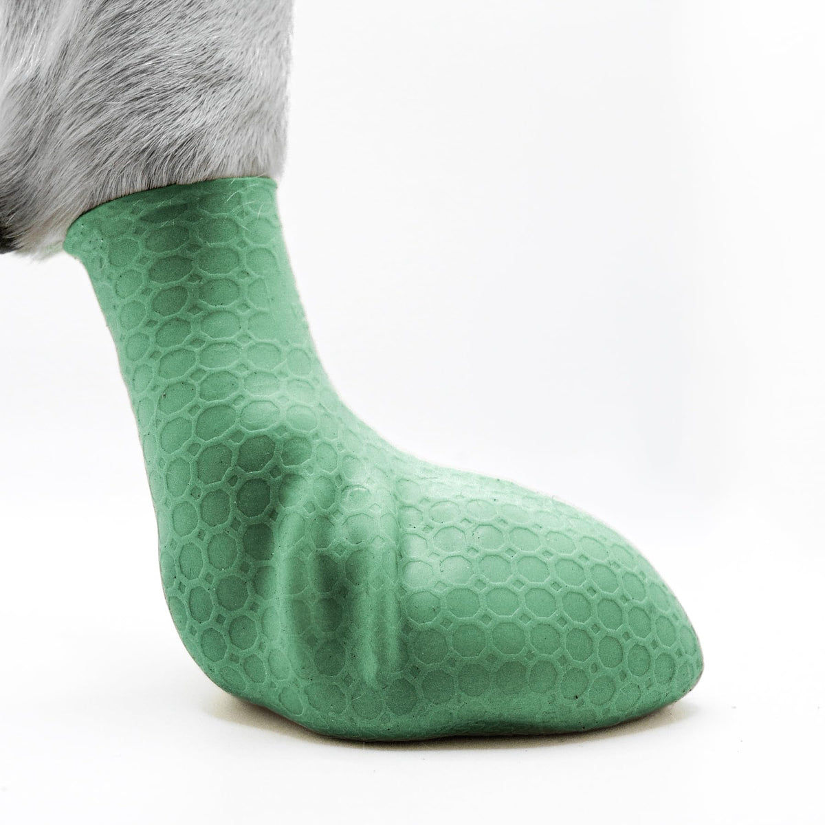 Paw—Skins 2.0: colocación rápida para paseos sin esfuerzo.