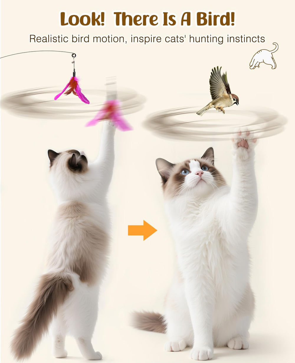 Plumas naturales de Pawaboo para juego interactivo seguro