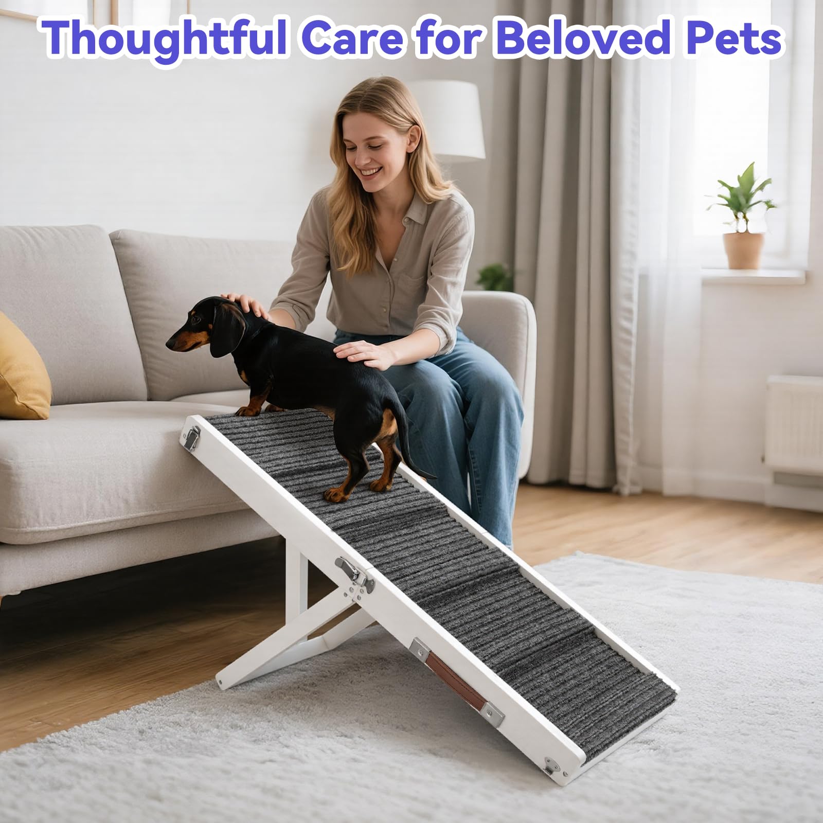 Pawaboo rampa para mascotas mayores con acceso cómodo