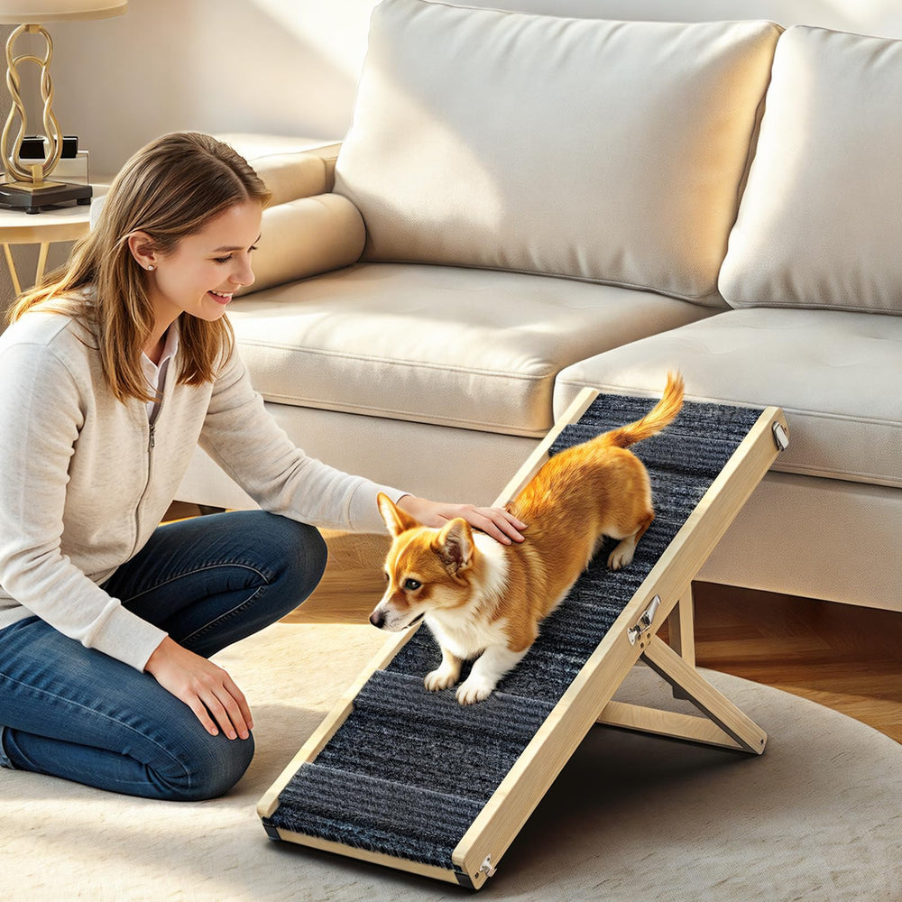 Pawaboo rampa para perros plegable con altura ajustable, ideal para sofá.