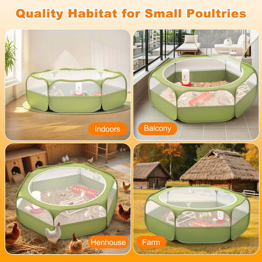 Pawaboo set inicial para pollitos: todo en uno para alimentación, calefacción y descanso