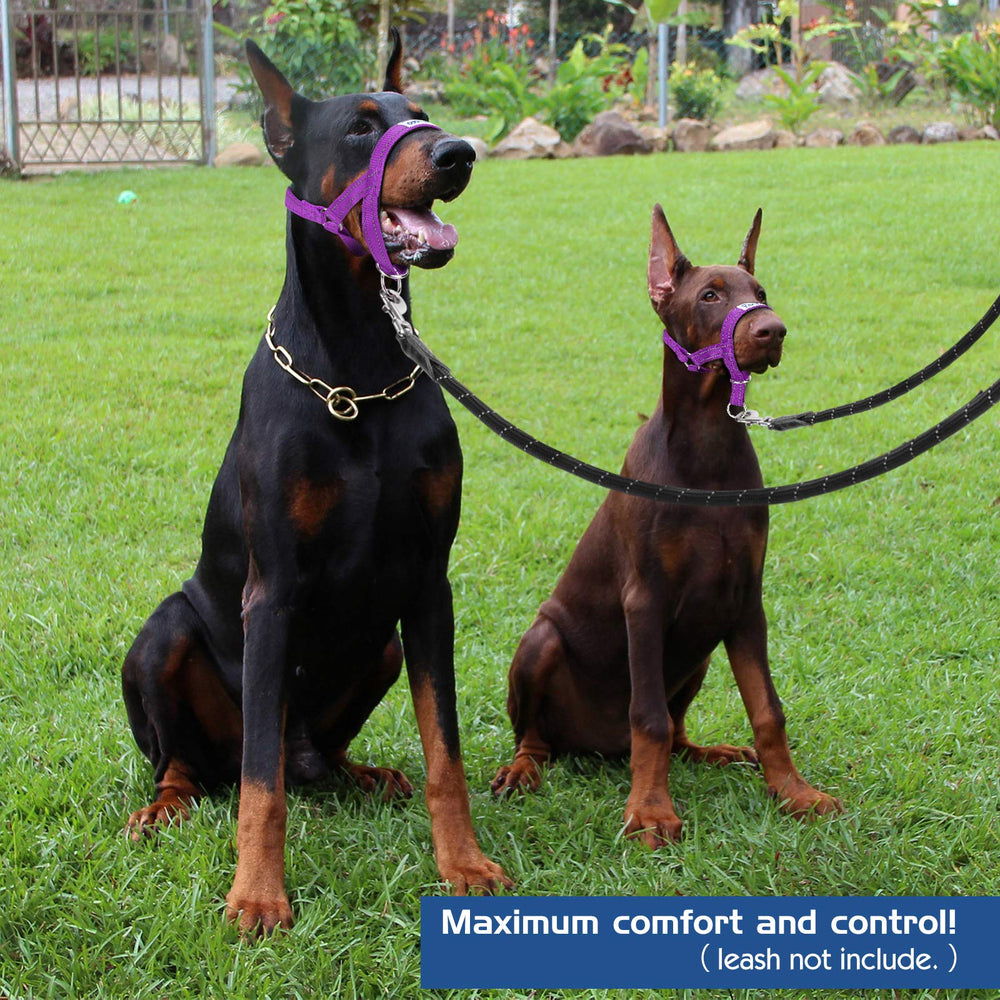 Pawaboo talla mediana sirve para perros de tamaño medio con buen control.