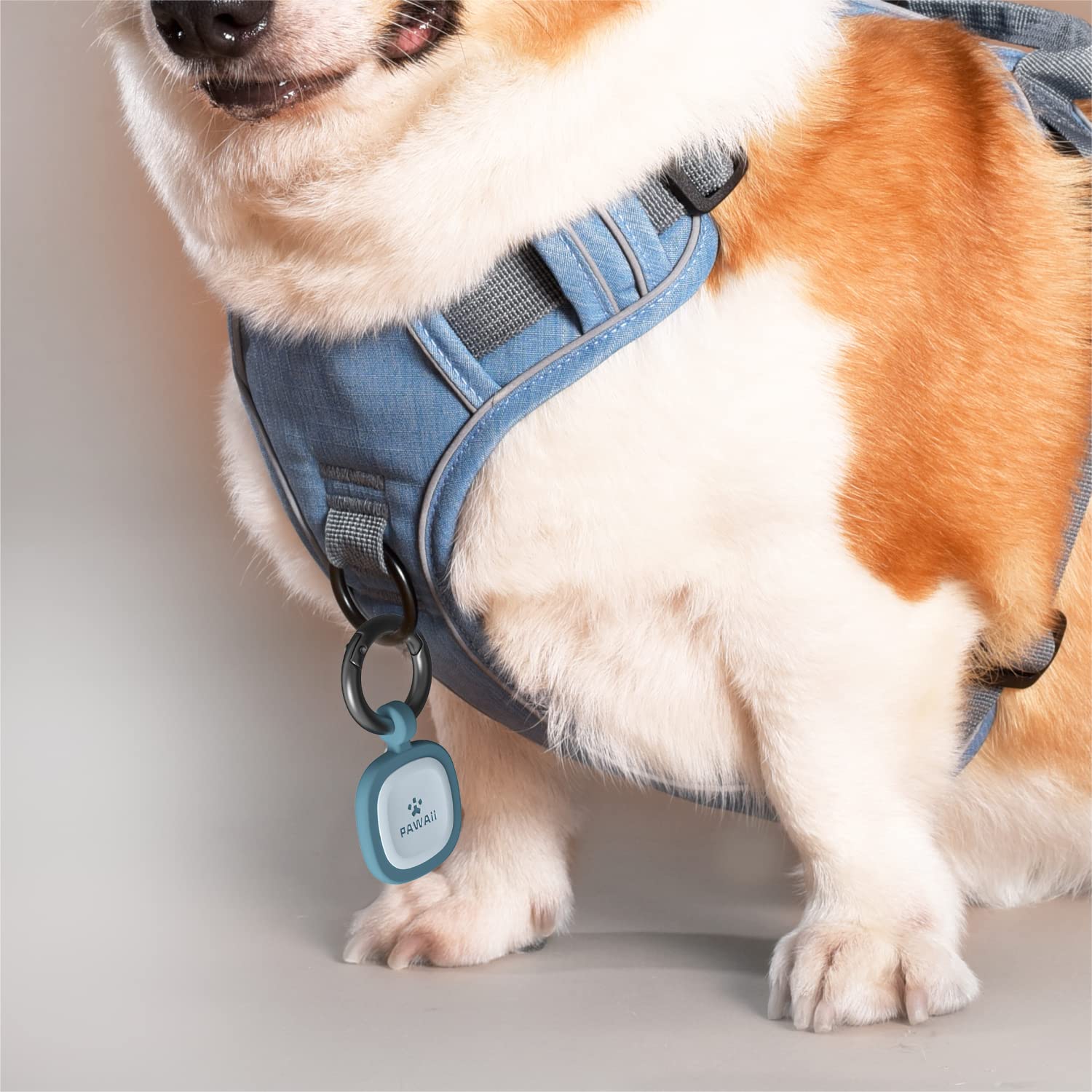 Pawaii: colores disponibles para distinguir a tu mascota.