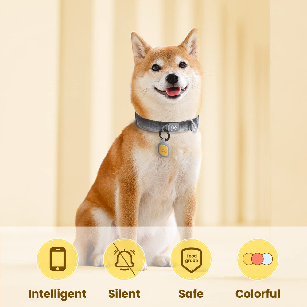 Etiqueta Pawaii para perros, reverso con datos, ayuda al reencuentro.