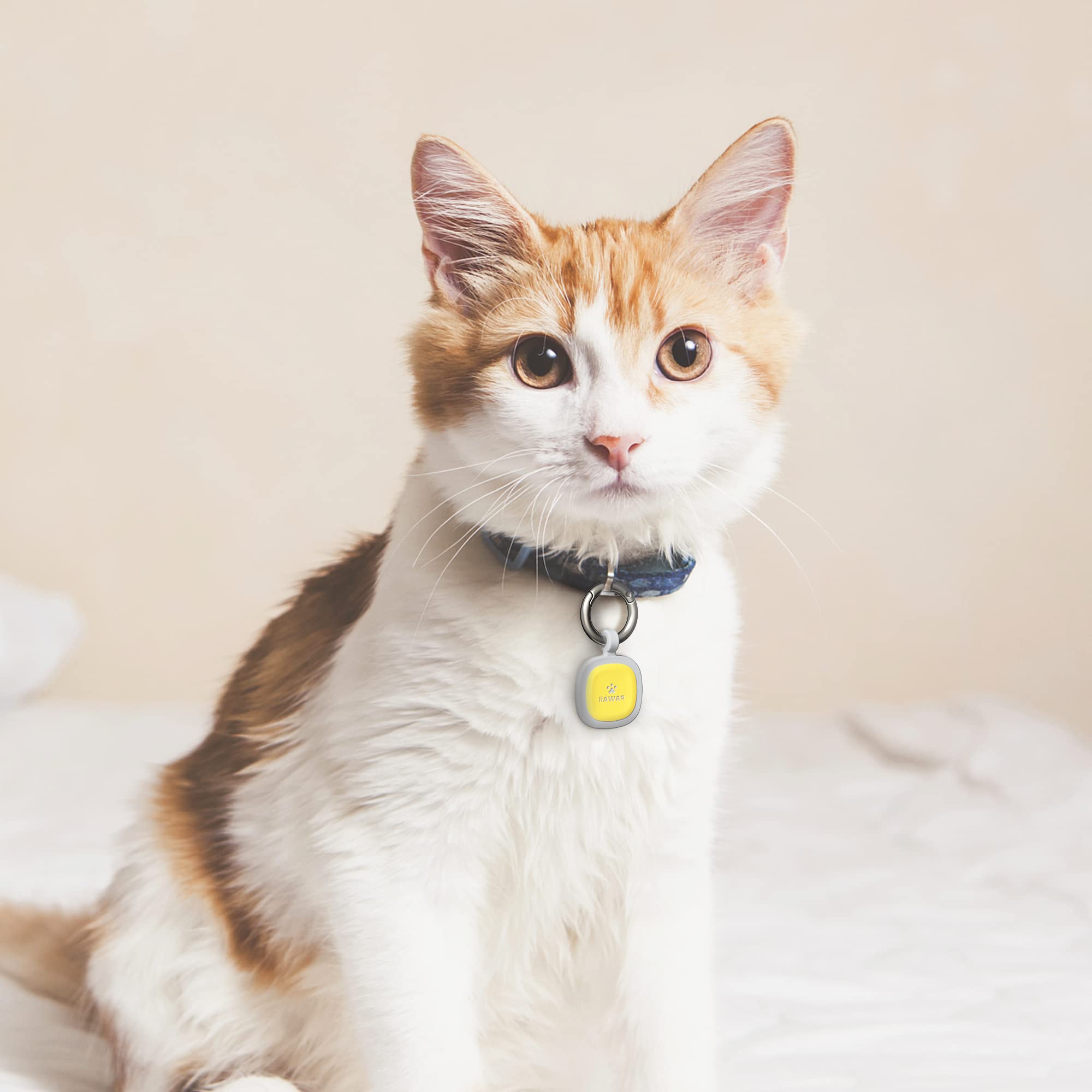 Apto para perros y gatos con información útil para cuidadores.