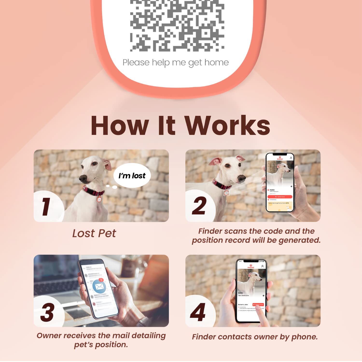 Perfil en línea de mascota para compartir datos de contacto y hábitos.