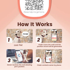 Perfil en línea de mascota para compartir datos de contacto y hábitos.
