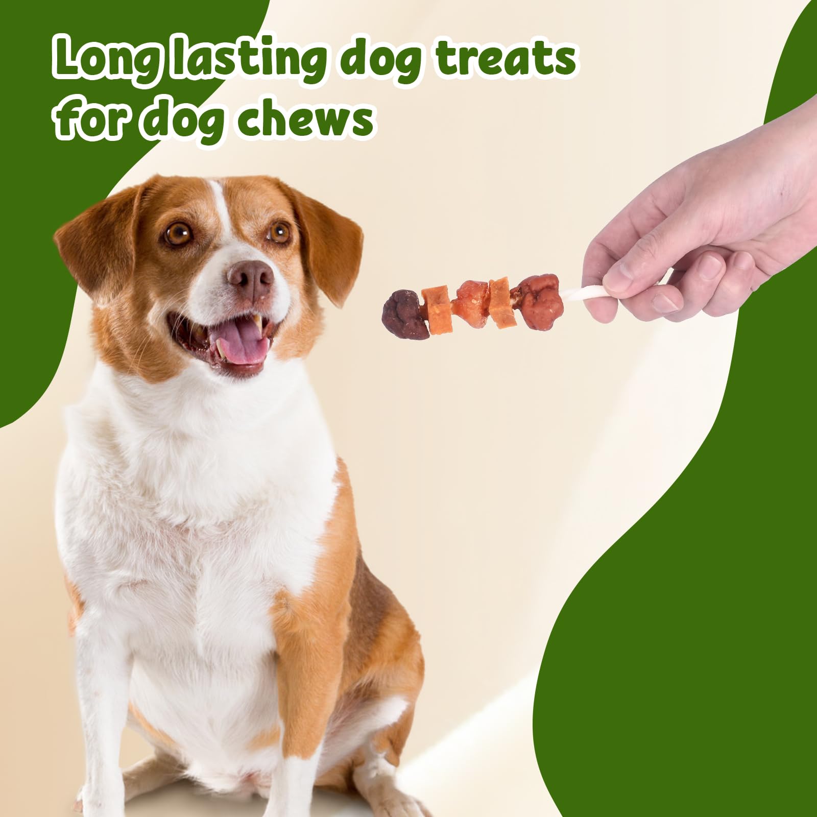 Pawant proteína alta y digestión fácil para perros.