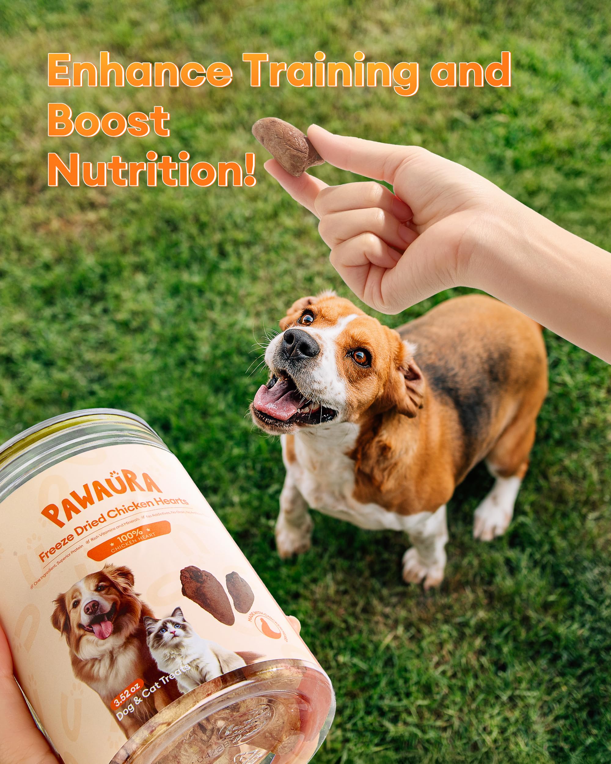 Pawaura corazones de pollo liofilizados, fuente natural de proteína para perros y gatos