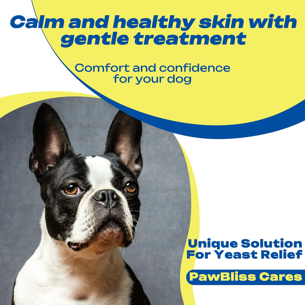 Chuches suaves PawBliss para perros, sabor bacon, facilita la toma diaria.