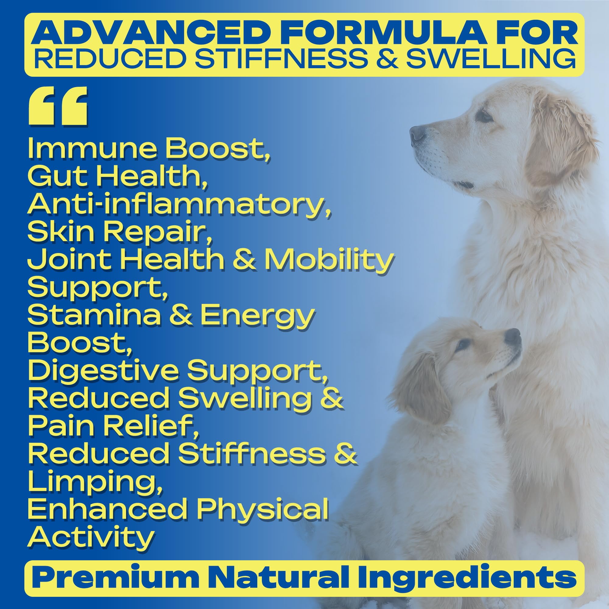 Piel y pelaje más brillantes con PawBliss y Omega-3.