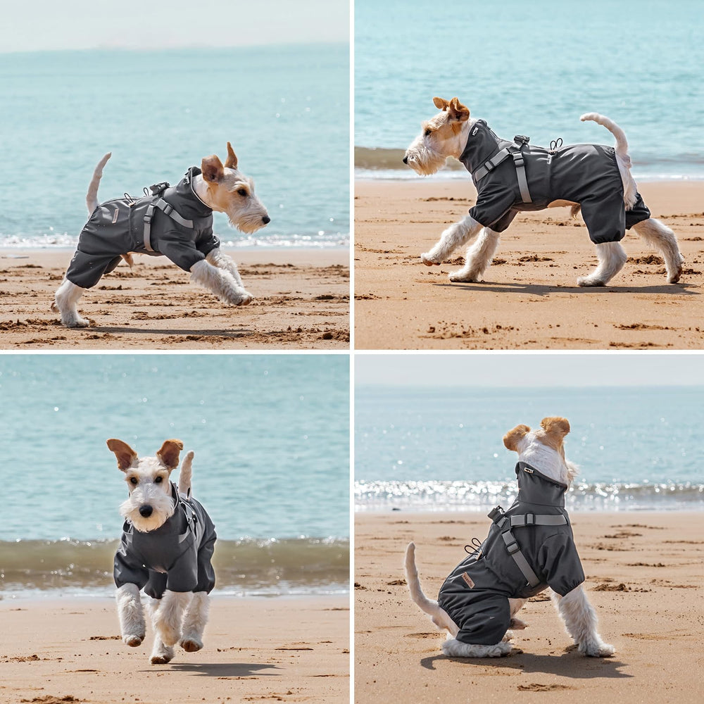 PAWBOSE abrigo impermeable con arnés incluido, ideal para salidas nocturnas.