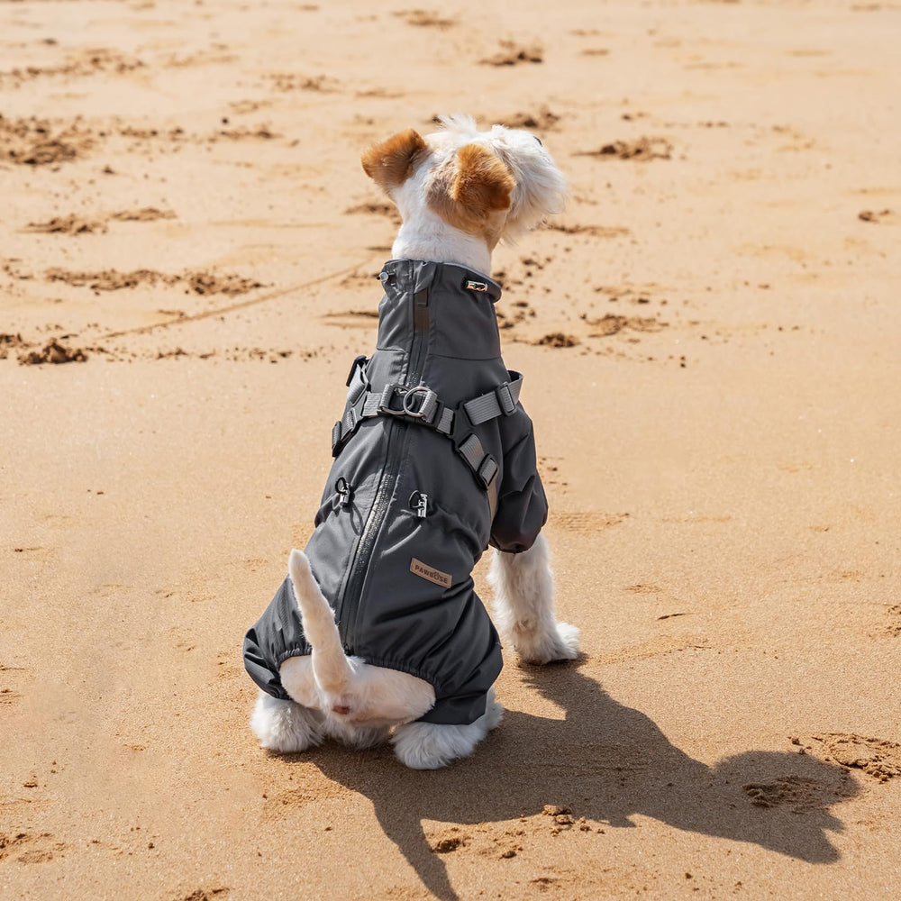 PAWBOSE abrigo para perros pequeños y medianos, disponible en ocho tallas.