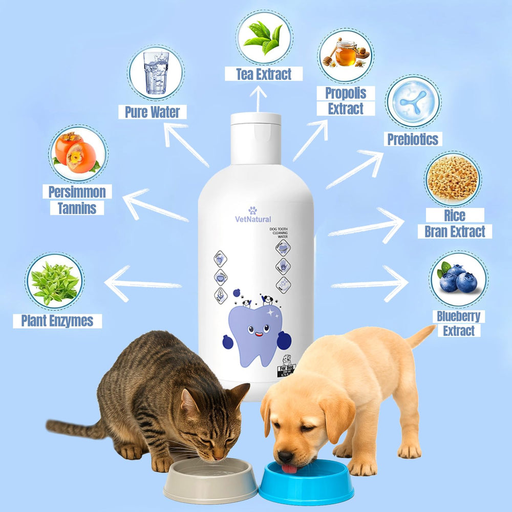 PawBright Dental Plus, copa-medida para dosis diarias sin cepillado
