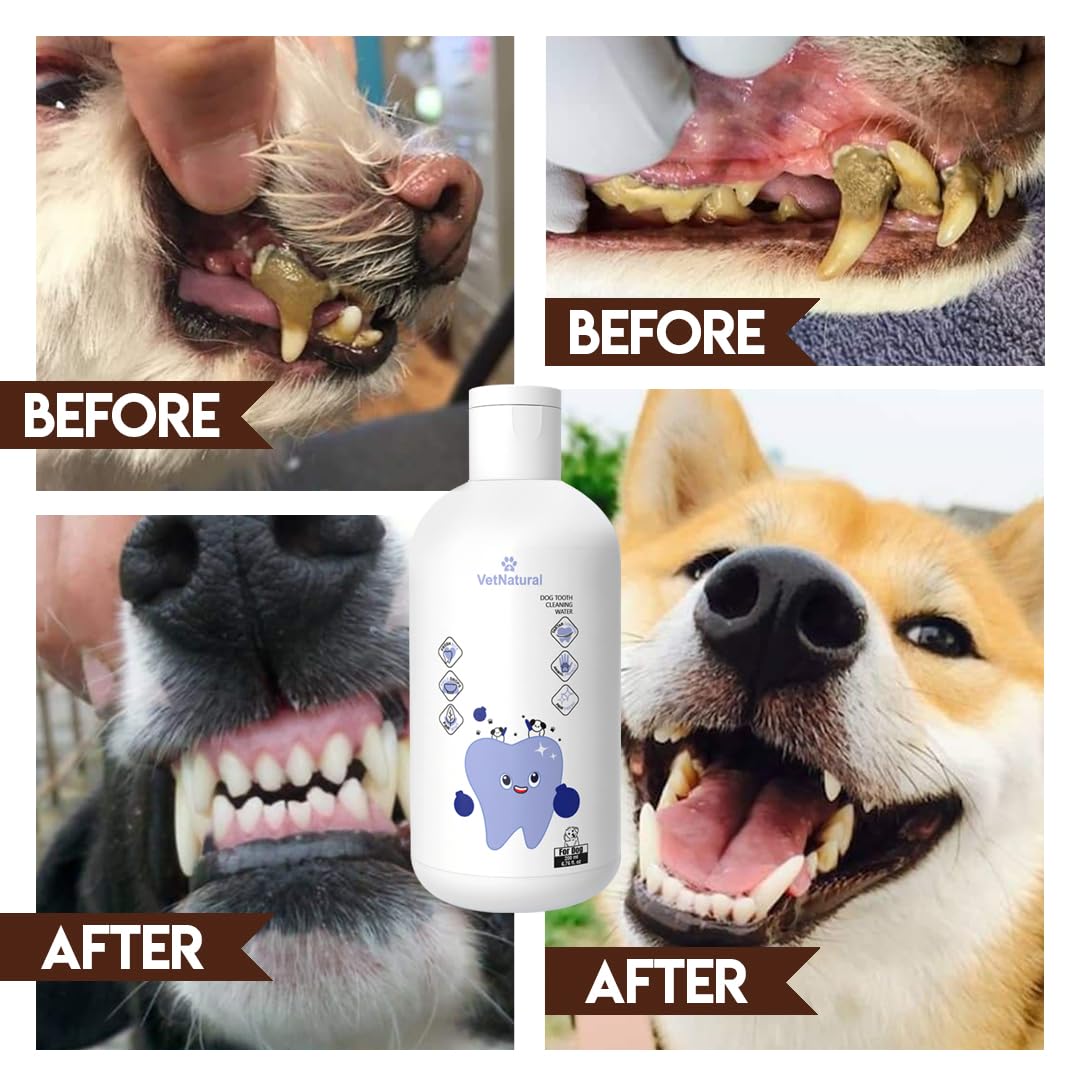 PawBright Dental Plus, dientes más limpios con uso diario