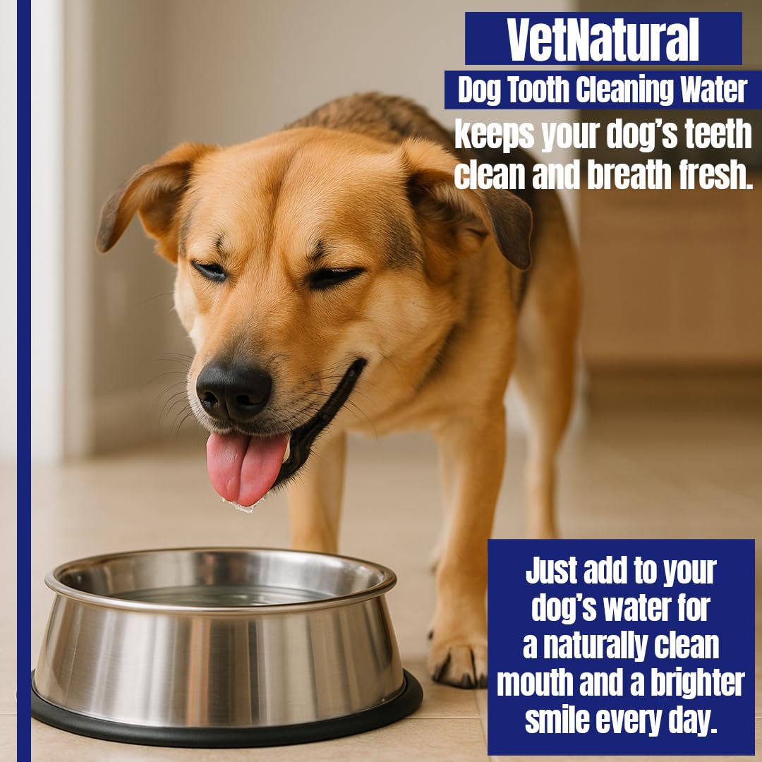PawBright Dental Plus, empaque profesional para cuidado dental