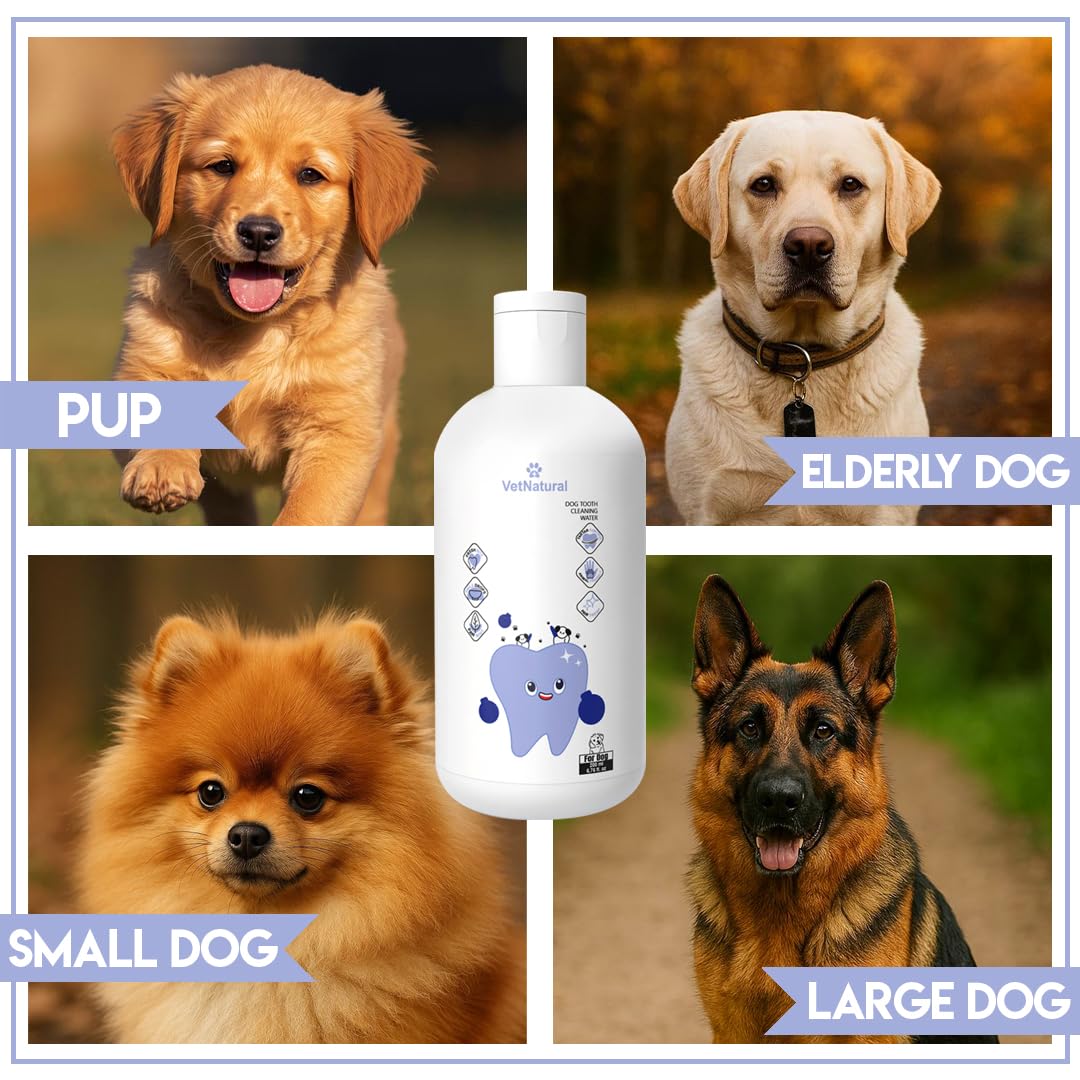 PawBright Dental Plus, mascota contenta gracias al uso diario