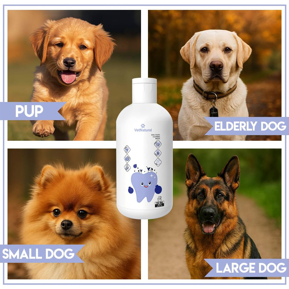 PawBright Dental Plus, mascota contenta gracias al uso diario