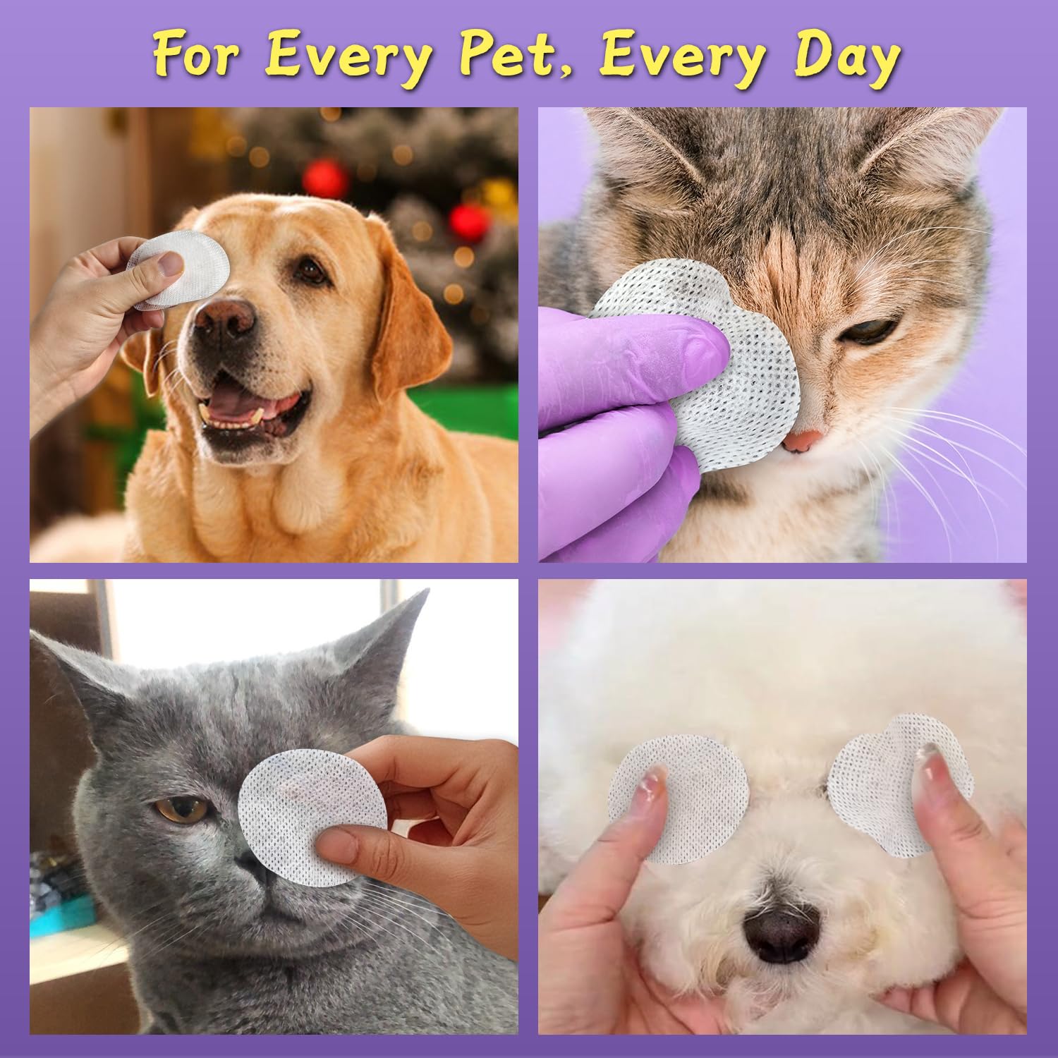PawBubble envase de 120 unidades, conveniencia para la rutina de cuidado ocular.