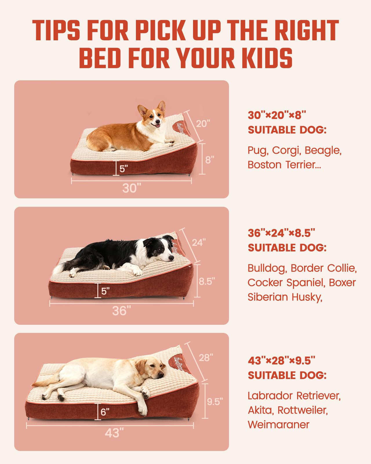 Pawccoli XL Cama para senior, ideal para perros con movilidad reducida.