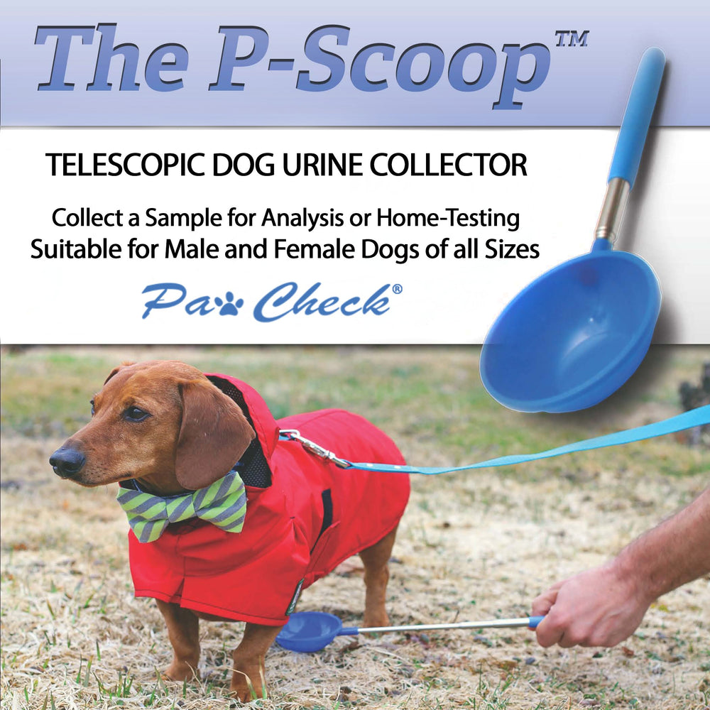 PawCheck P-Scoop, taza deslizante bajo el perro para muestra limpia.