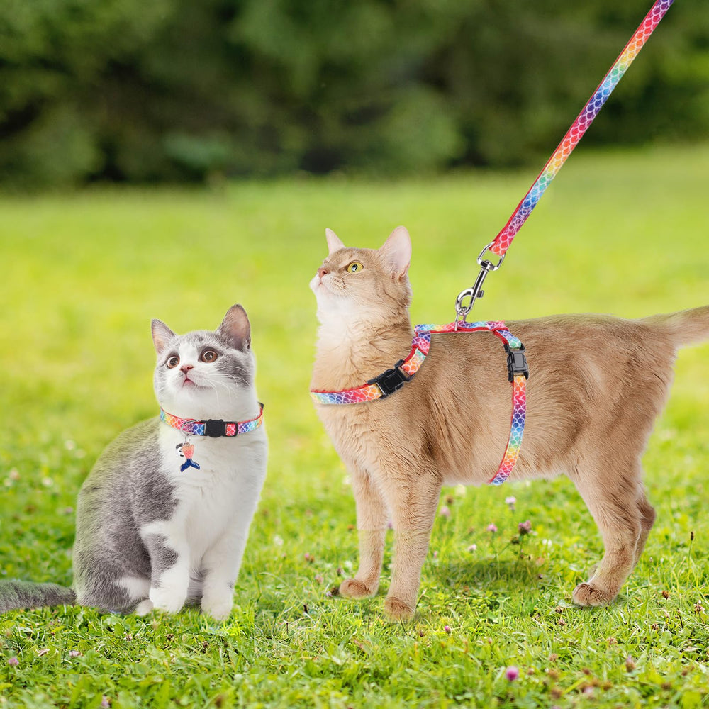 PAWCHIE arnés ajuste para explorar sin escapar