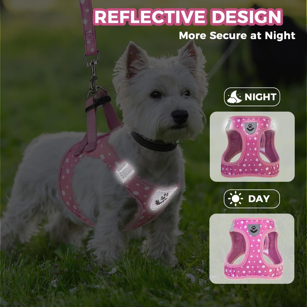 PAWCHIE arnés con costuras reflectantes, visibilidad nocturna.