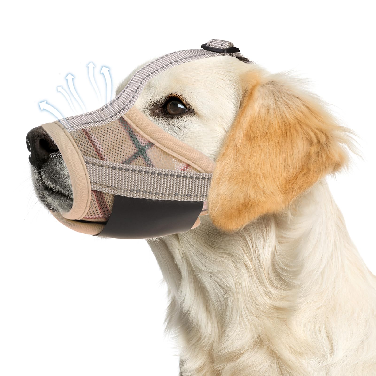 PAWCHIE bozal para perro malla-aire: comodidad durante el paseo