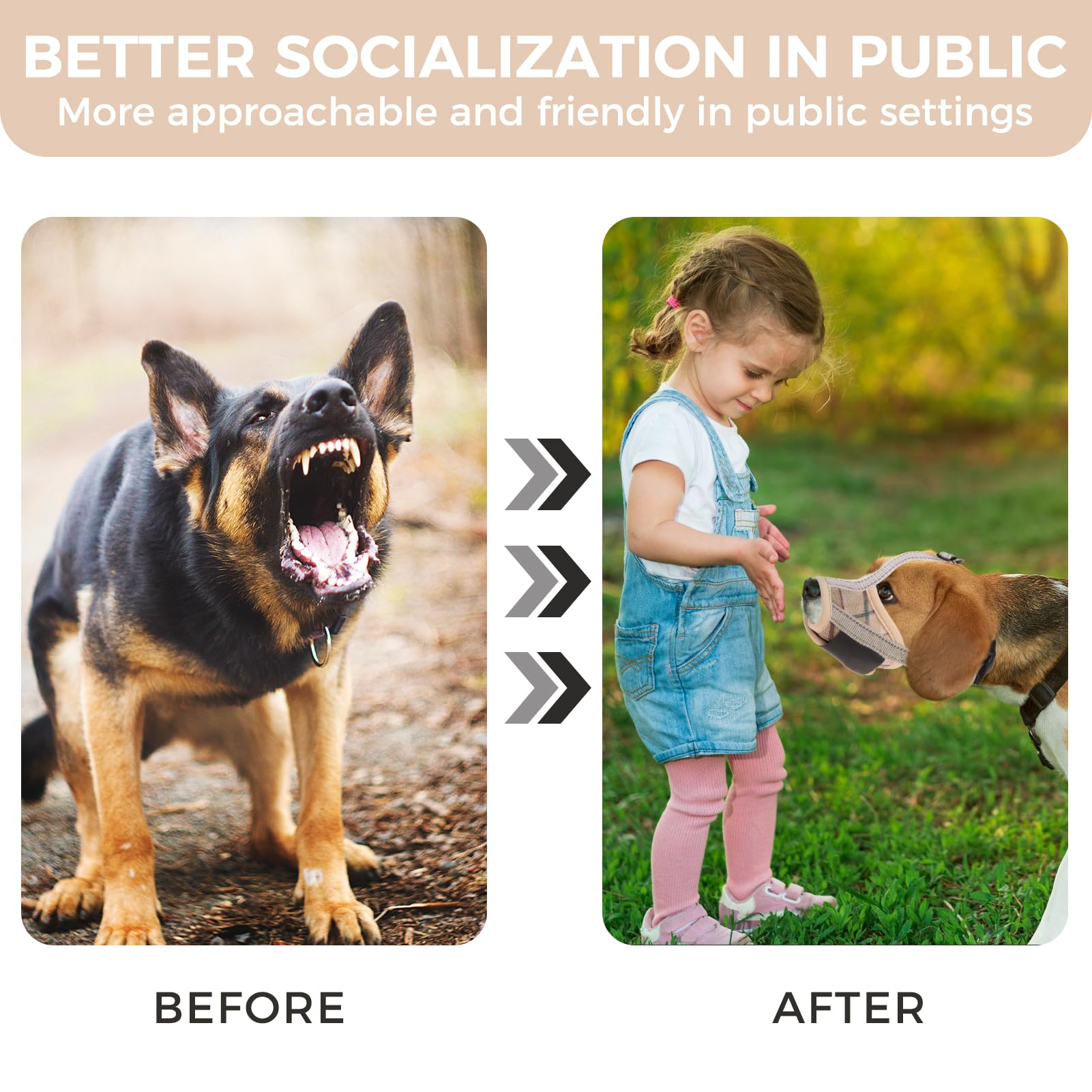 PAWCHIE bozal para perro reflectantes: mayor visibilidad nocturna
