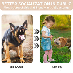 PAWCHIE bozal para perro reflectantes: mayor visibilidad nocturna