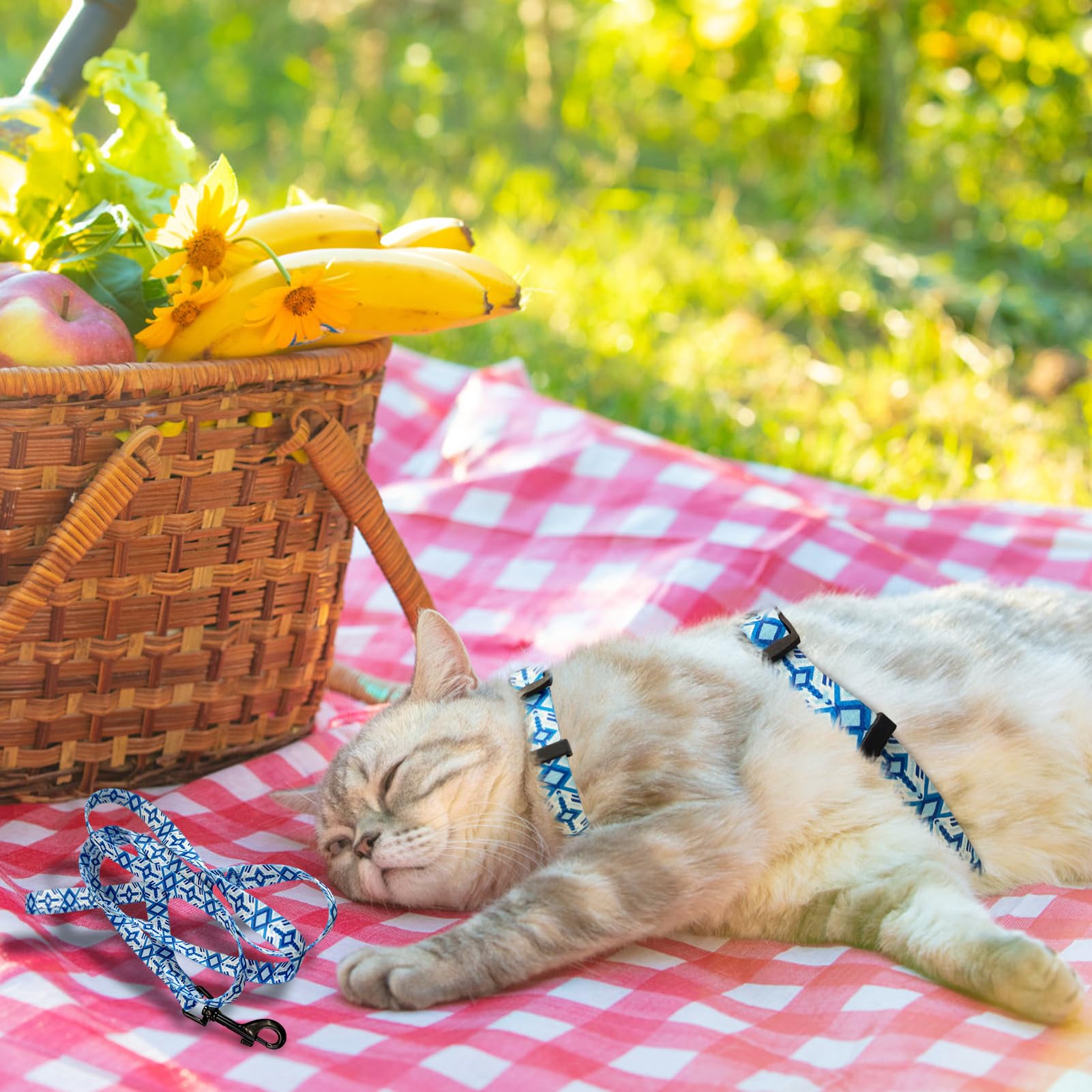 PAWCHIE conjunto para paseos, gata segura, paseo diario