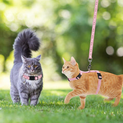 PAWCHIE correa-gato para paseo, manejo suave y control nocturno.