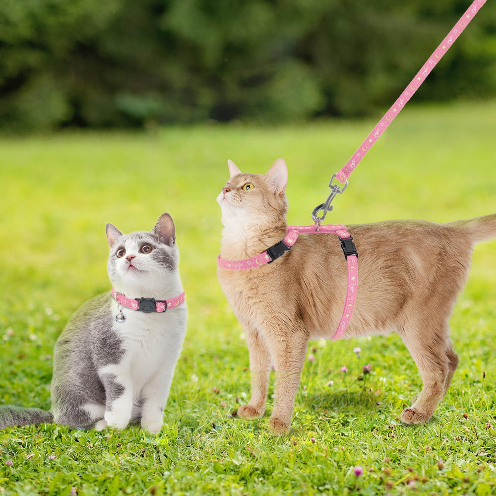PAWCHIE correa para gato: longitud adecuada para exploraciones controladas.