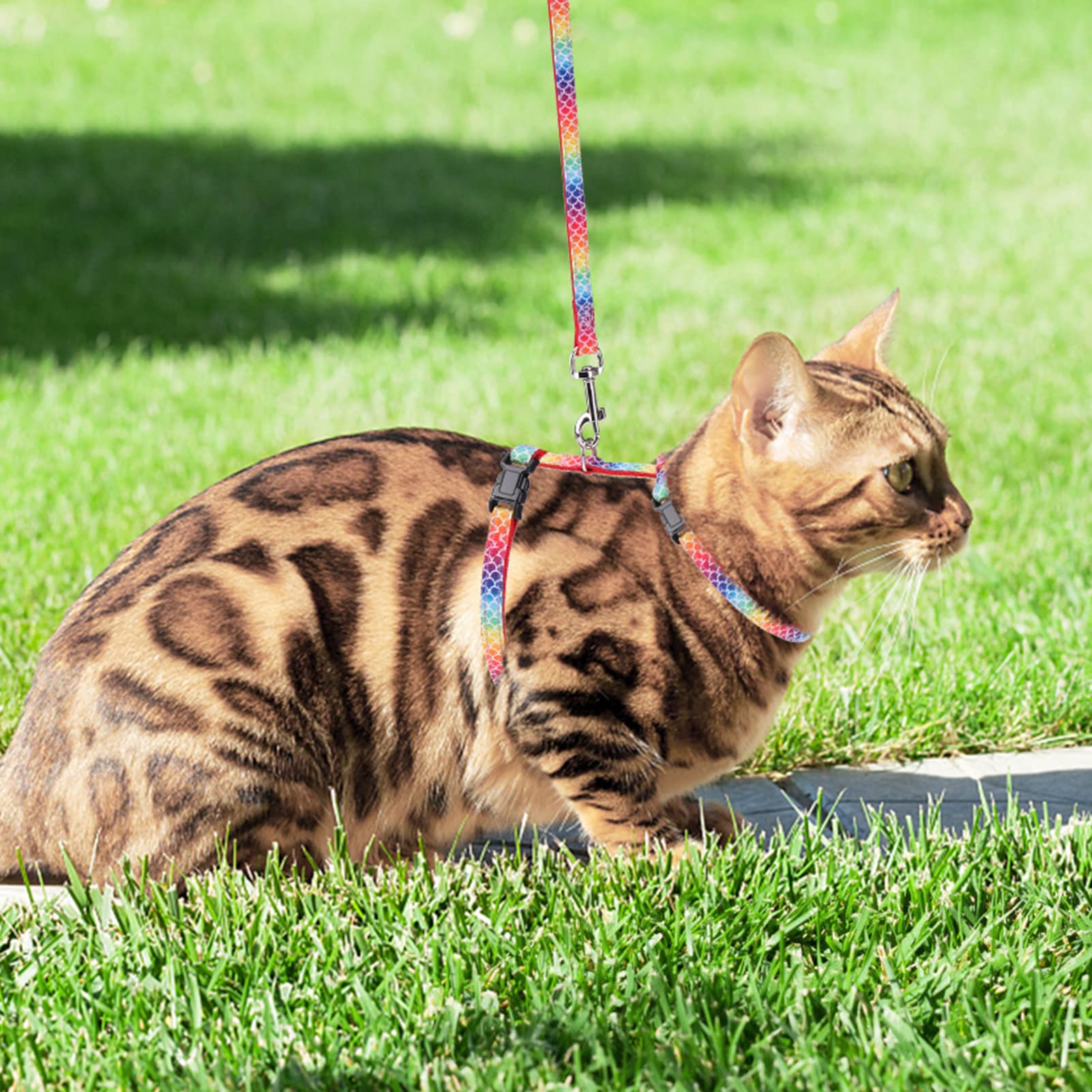 PAWCHIE diseño escama de pez para mayor visibilidad