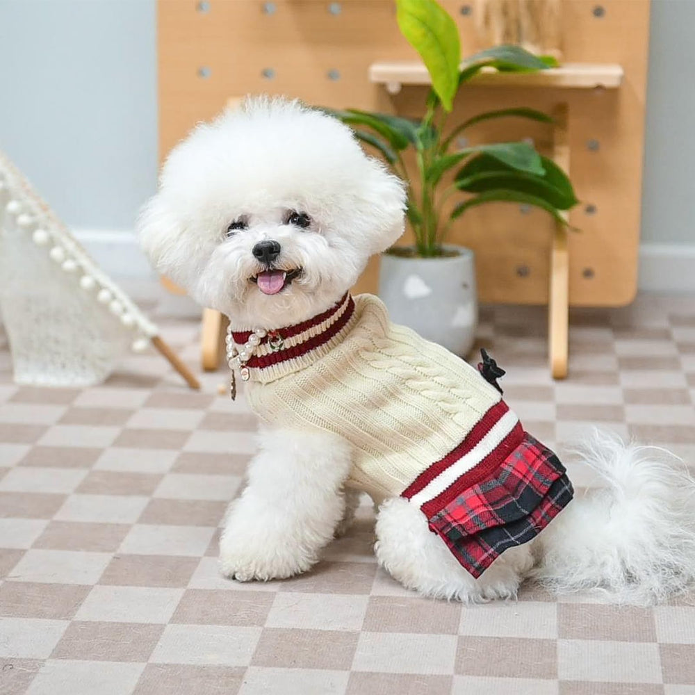 PAWCHIE guía de tallas XS S SM, ayuda a elegir la talla adecuada.