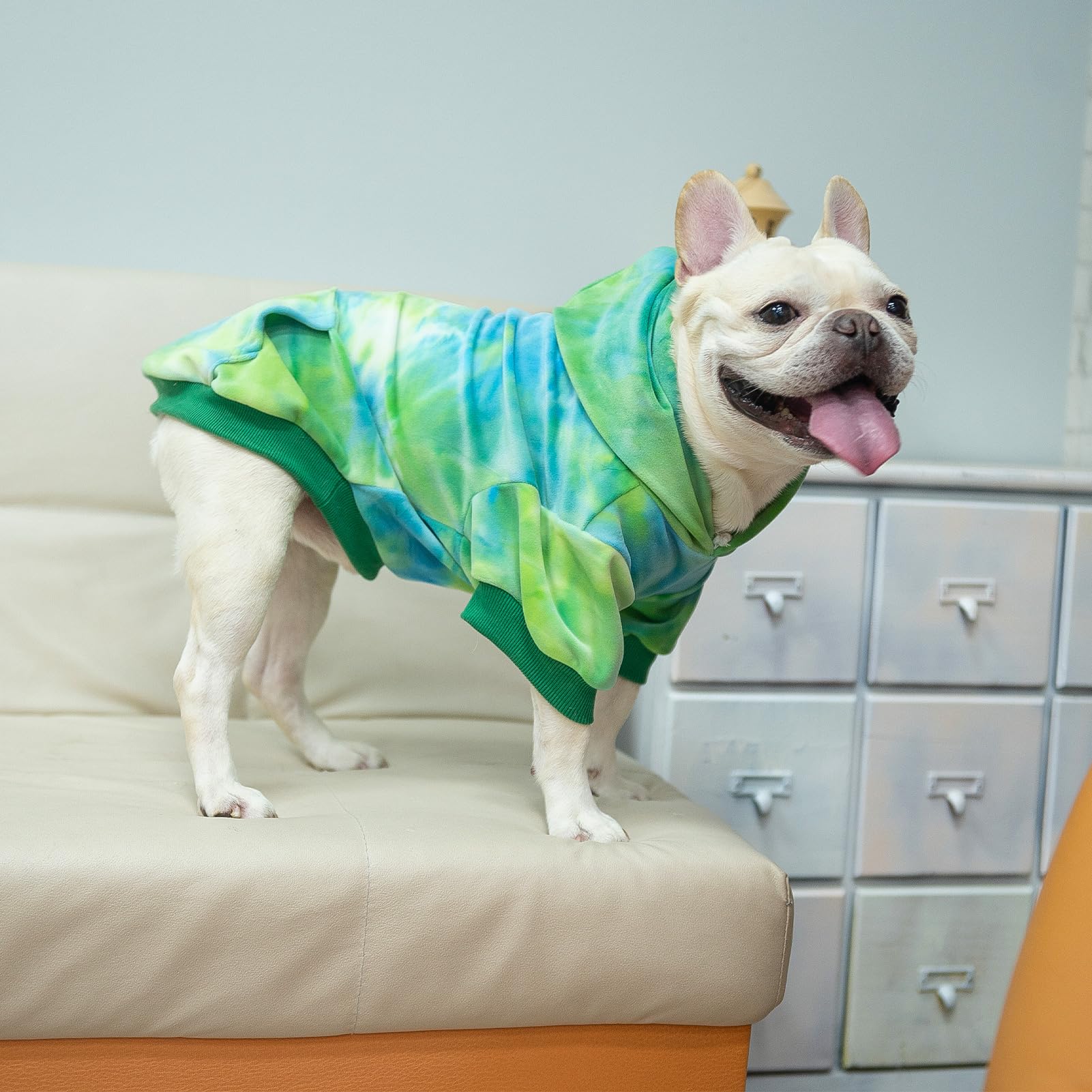 PAWCHIE hoodie para perro, diseño con capucha