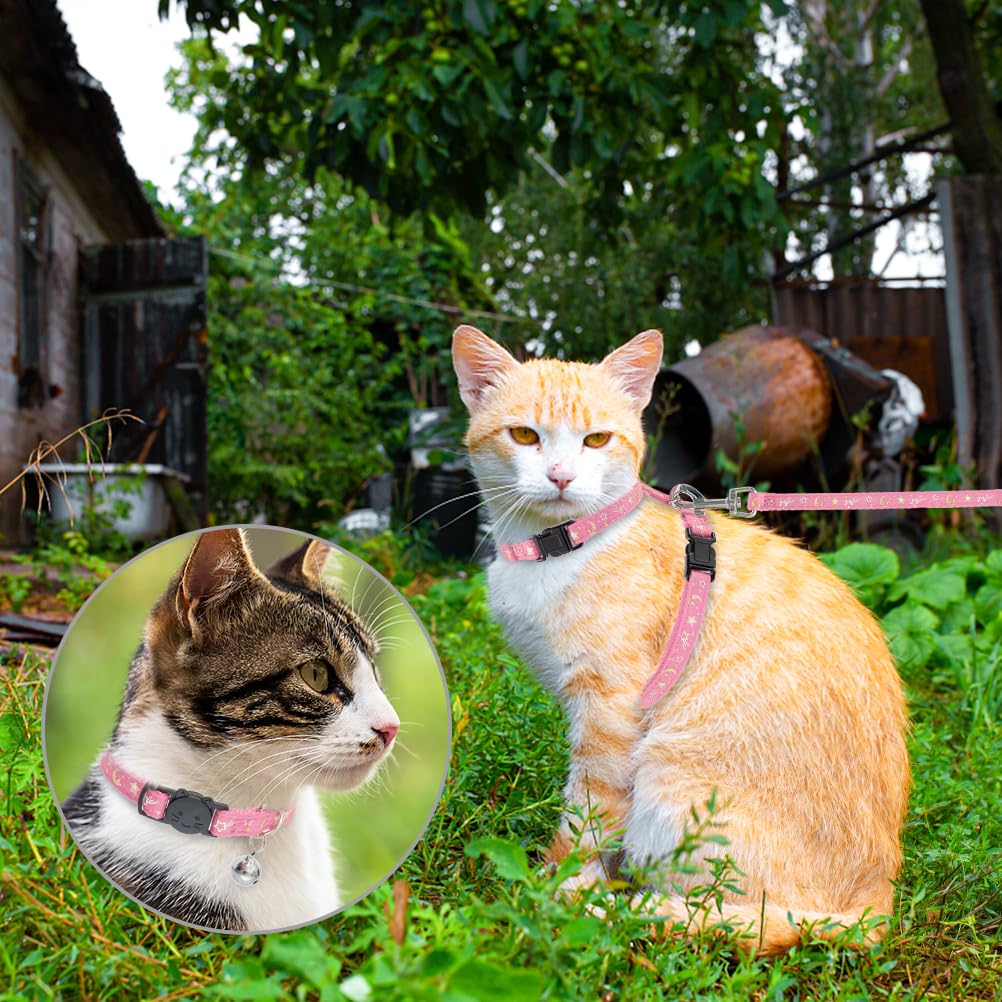 PAWCHIE set exterior para gato: kit completo para paseos seguros.