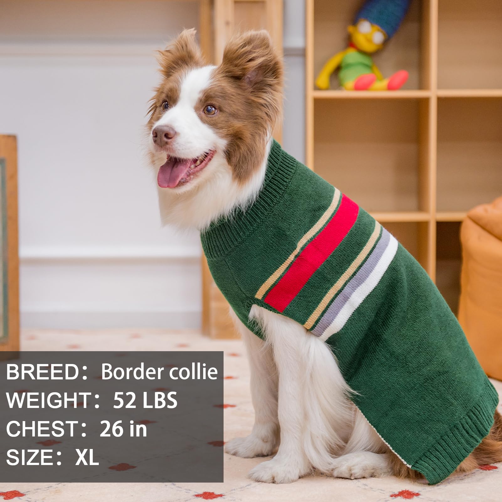PAWCHIE sudadera, color verde para paseos diarios