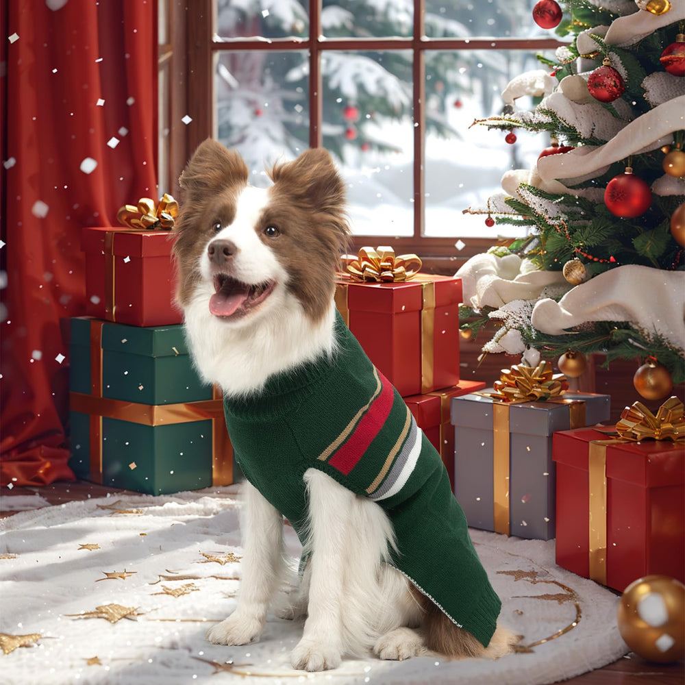 PAWCHIE sudadera para perro grande, vista trasera y estilo sobrio