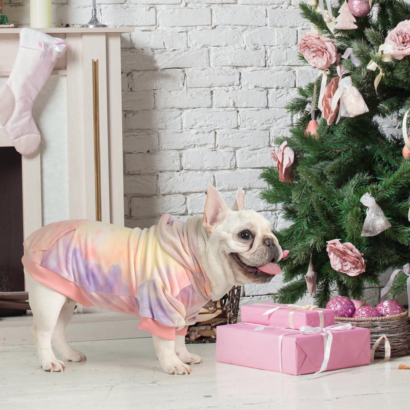 PAWCHIE sudadera perro lavable a máquina, limpieza rápida