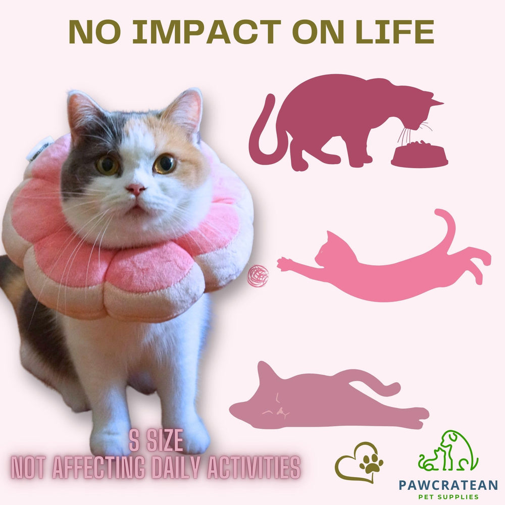 Pawcratean collar Isabelino para gatos y cachorros pequeños